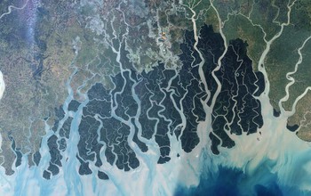 The Sundarbans in Bangladesh and West Bengal